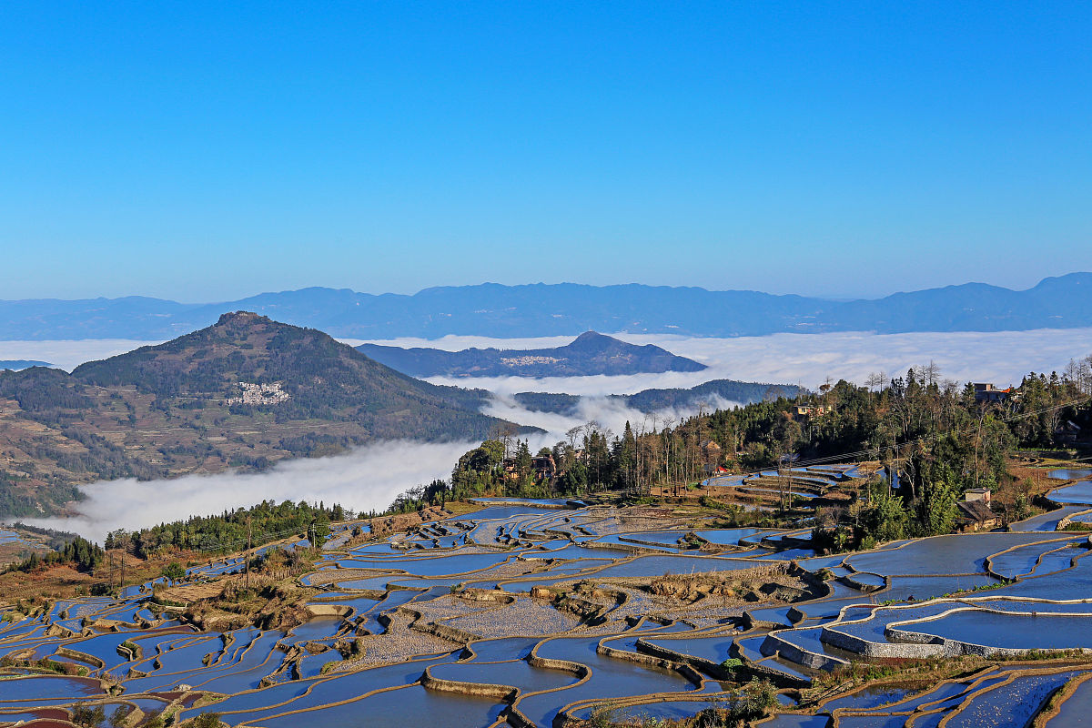 红河州财经学校2022年招生简章