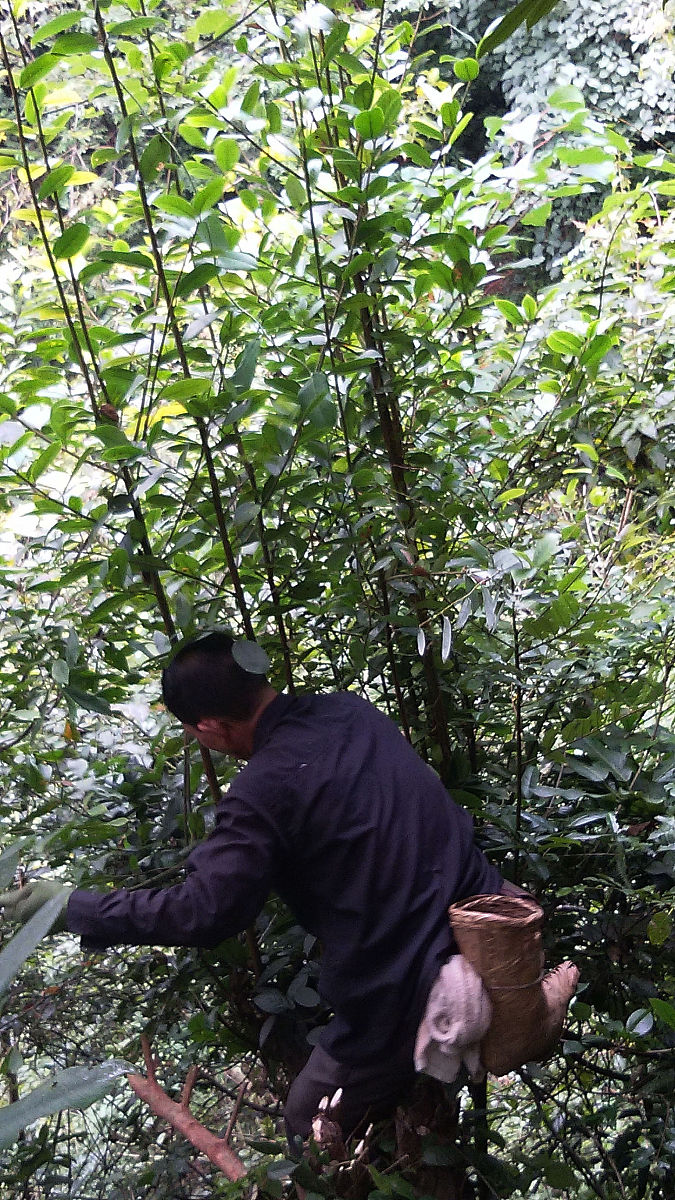 哺乳期瑶浴：功效、危害及注意事项