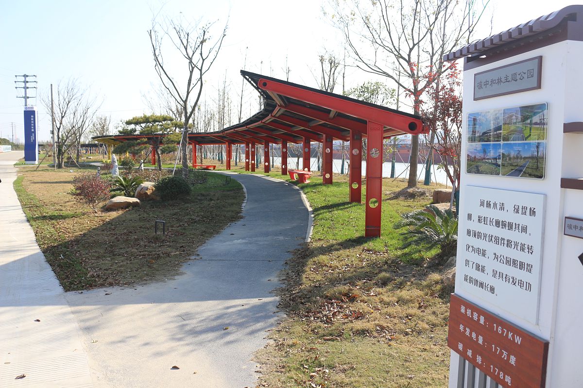 农村公共文化建设现状调查问卷：设施、活动、需求分析