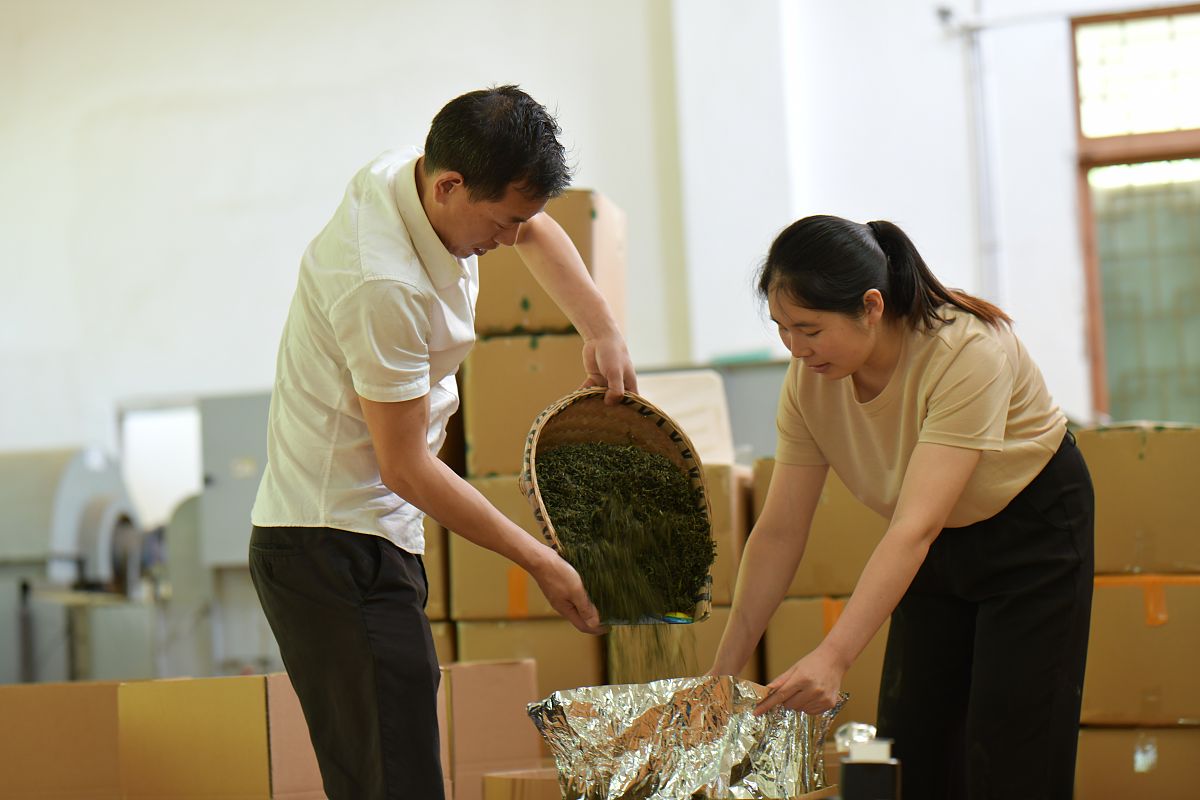 湄潭中等职业学校茶叶生产与加工专业好不好