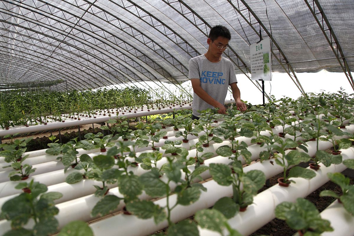 广西工业职业技术学院制浆造纸技术专业怎么样？就业前景、发展方向分析