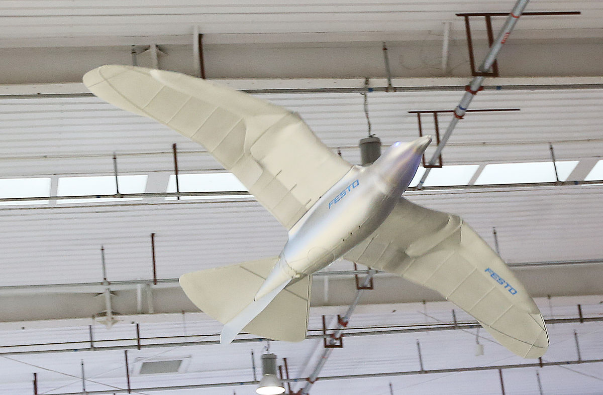 成都中和职业中学五年制大专招生专业