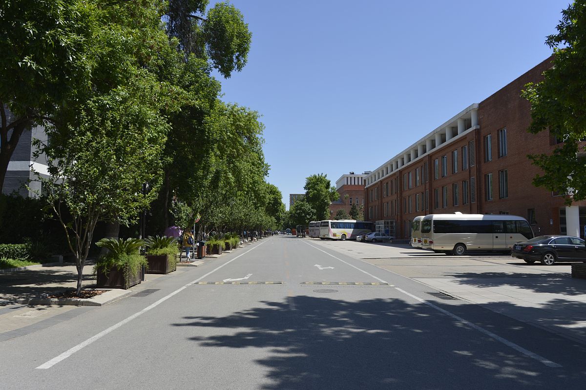北京林业大学会计学专业怎么样