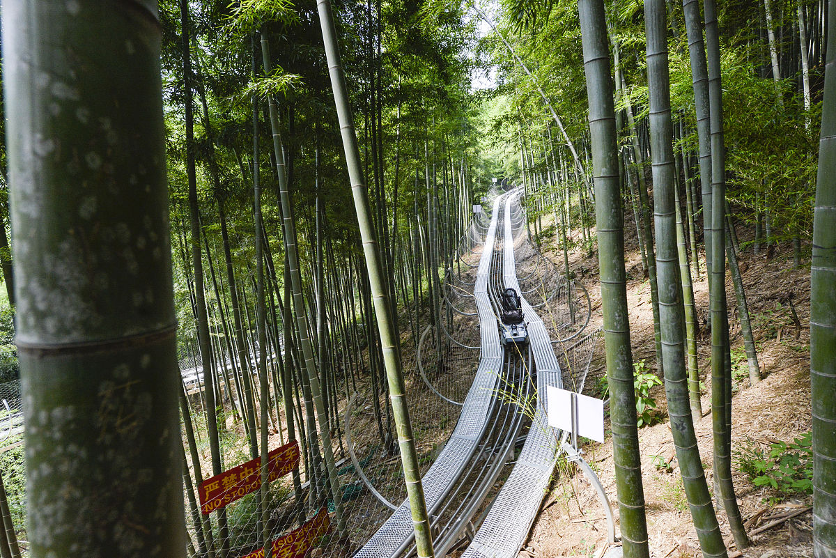 安吉旅游攻略：必玩景点推荐，感受自然与文化魅力