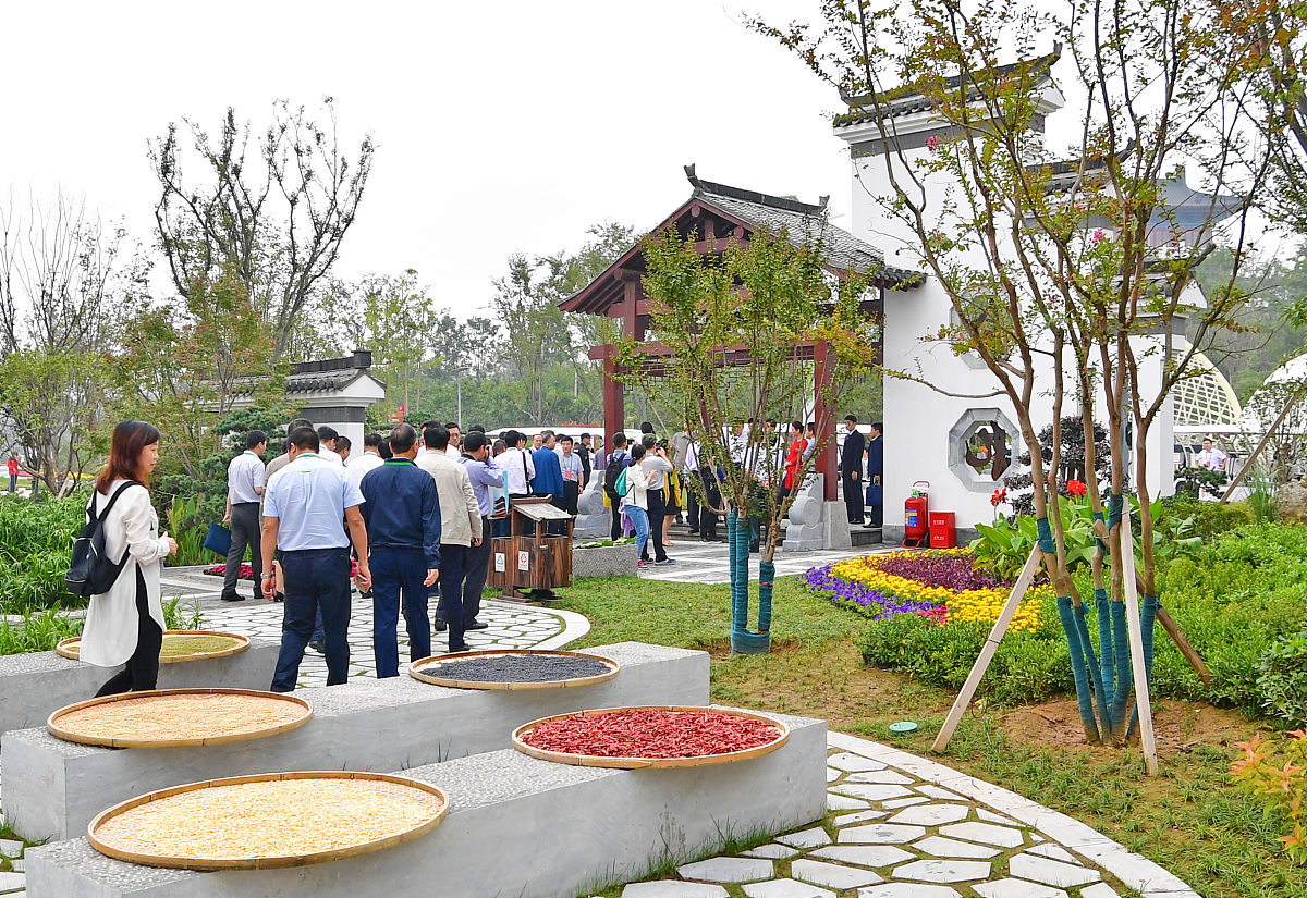 南宁市坛良村特色产业发展给其他乡村发展在注重文化传承和创新的借鉴意义