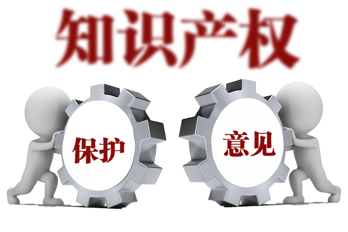 在知识产权公司实习的收获与感受