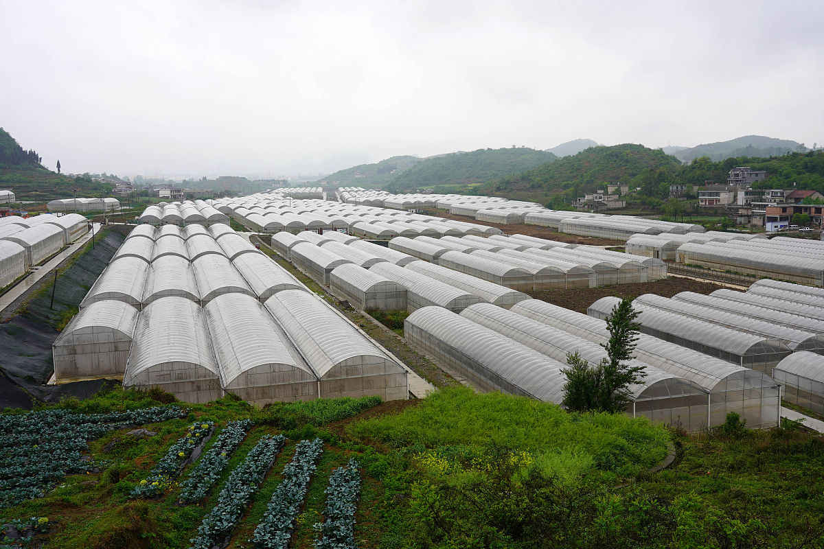 贵阳哪里可以读五年制大专的汽车维修专业