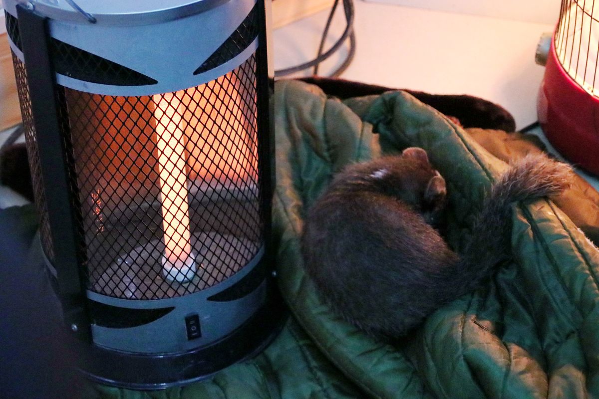 2023吉林市经济贸易学校招生简章