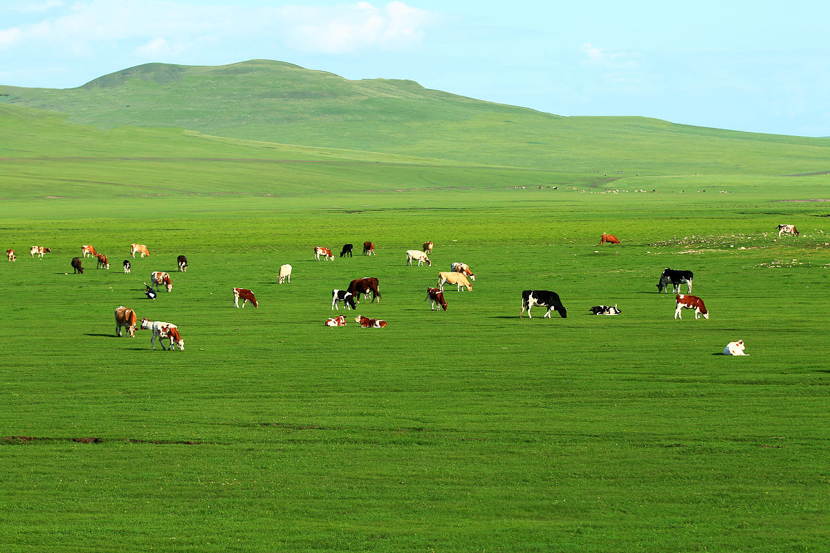 学草业科学后悔死了？真相解读及就业前景分析