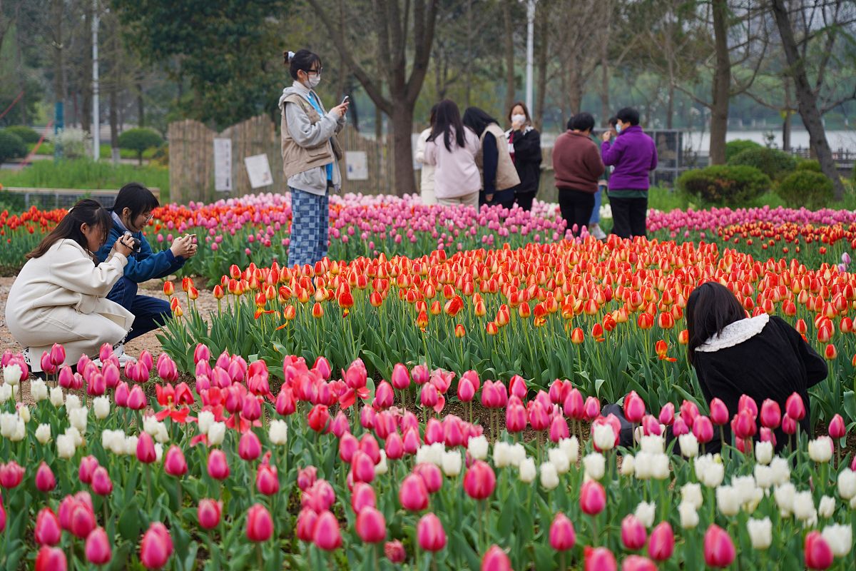 陕西省交通学校物流管理专业怎么样？优势与不足分析