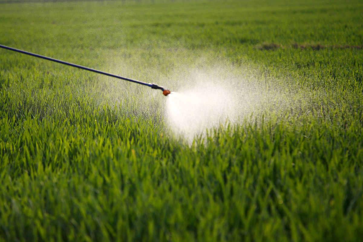 写一篇变量喷药系统论文