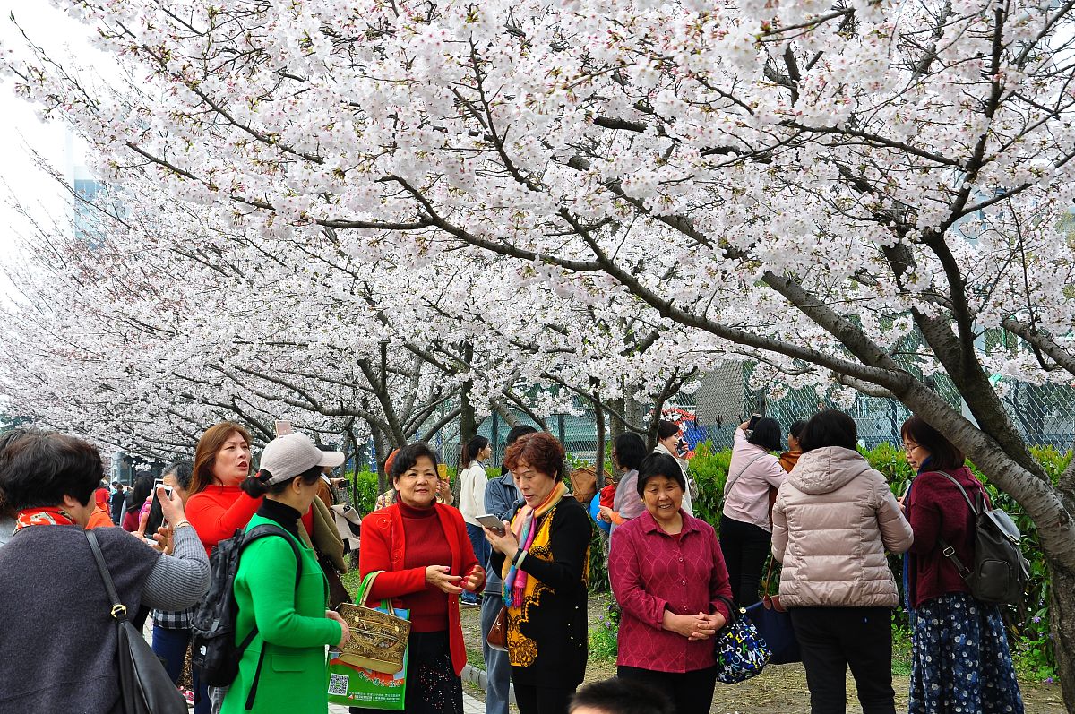 四平职业大学电子商务专业怎么样？优劣势分析