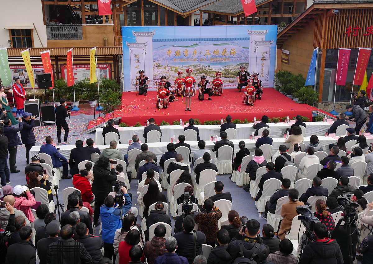 重庆三峡职业学院单招有国际航空专业吗？