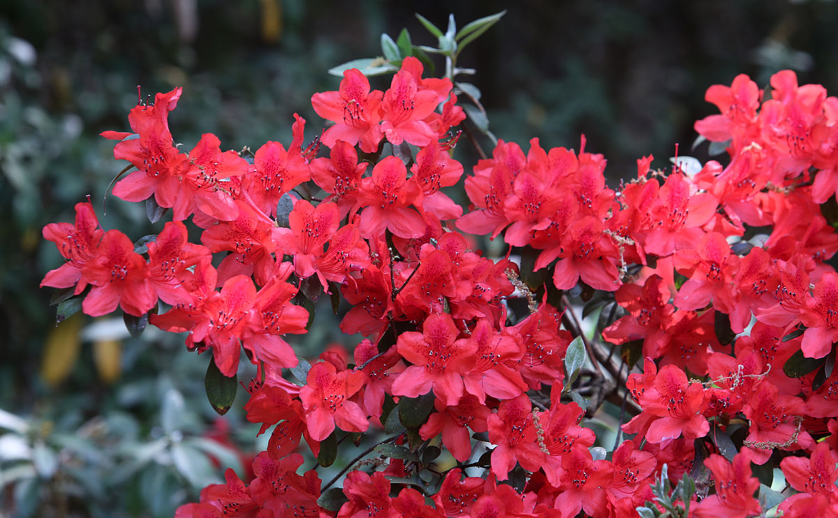 昆明市化工技工学校化工工艺专业2022年招生