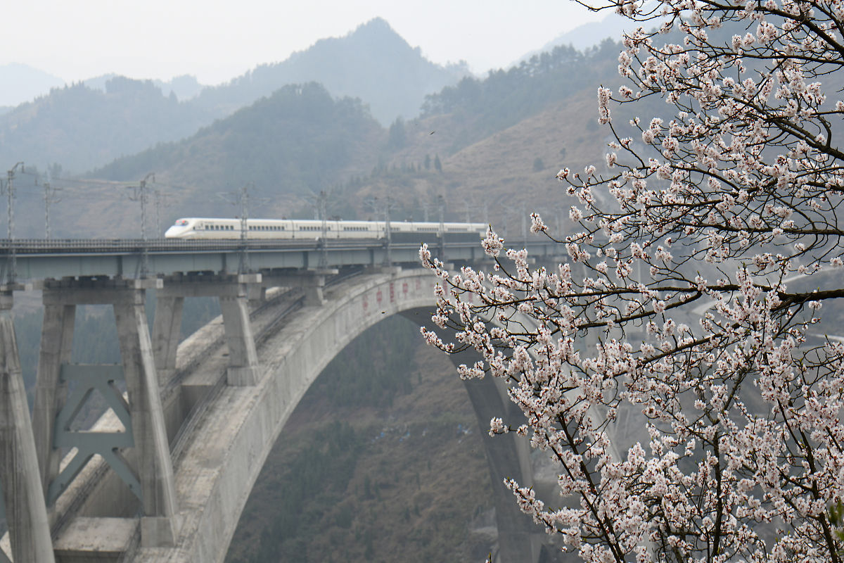 2023桐梓县中等职业学校招生专业及相关信息