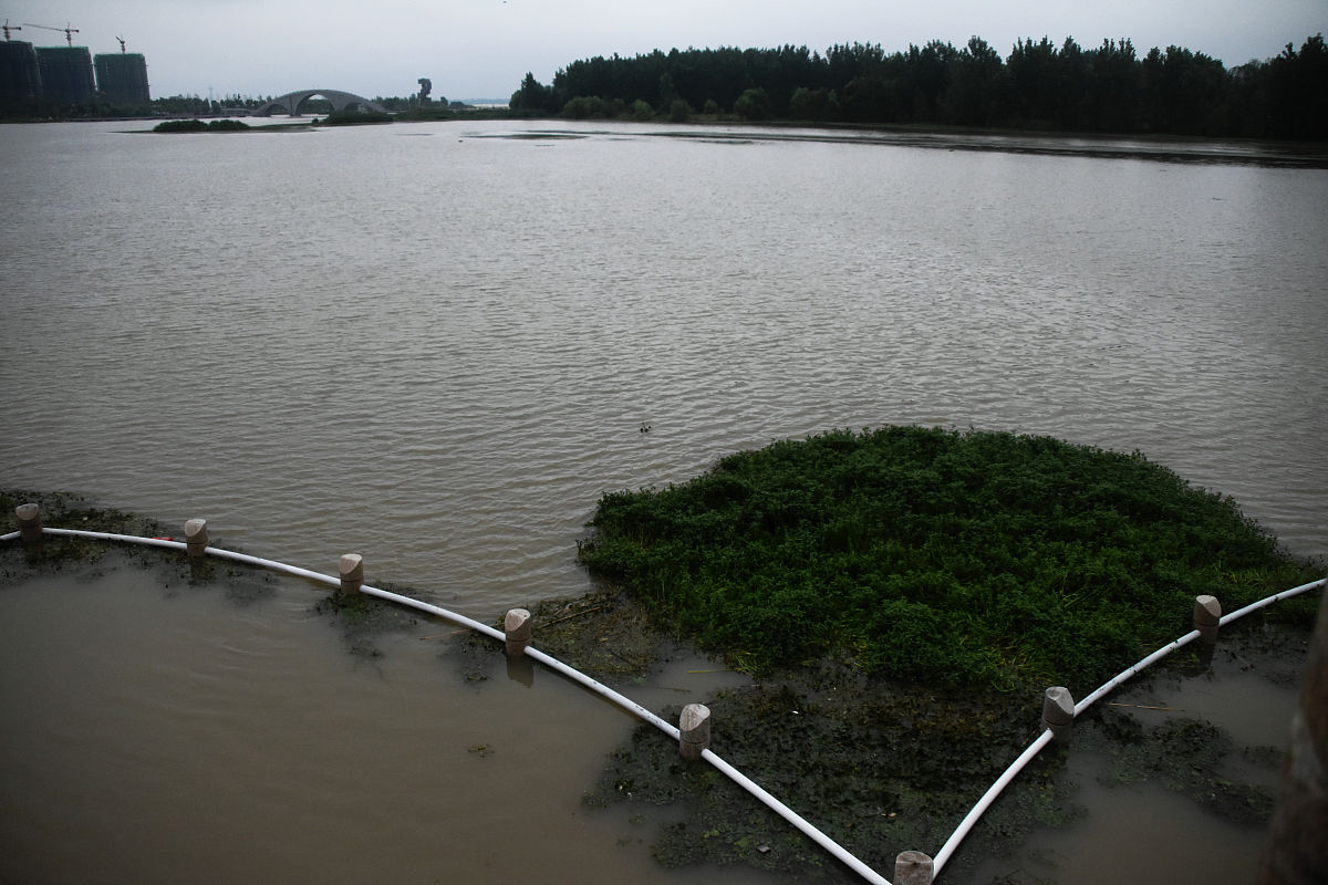2020年7月3日,江苏淮安,金湖县上游三河闸放水,荷花广场变成一片水乡