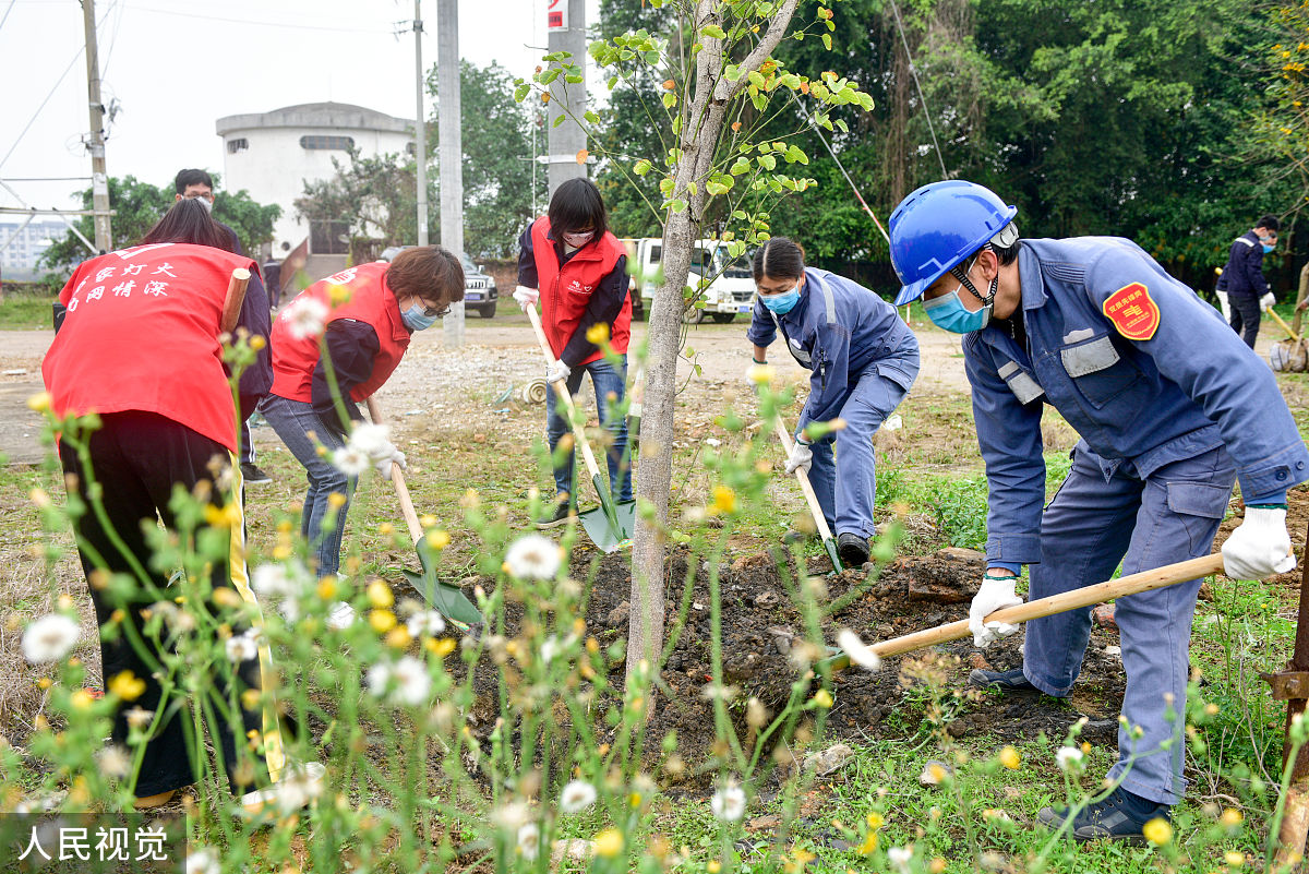 美德引路先锋润苗工作总结