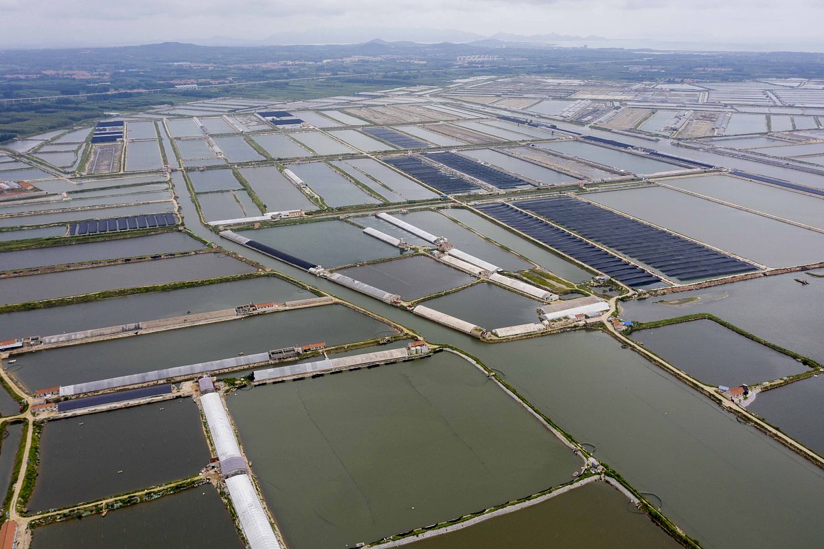 辽宁省水利学校招生咨询电话是多少？