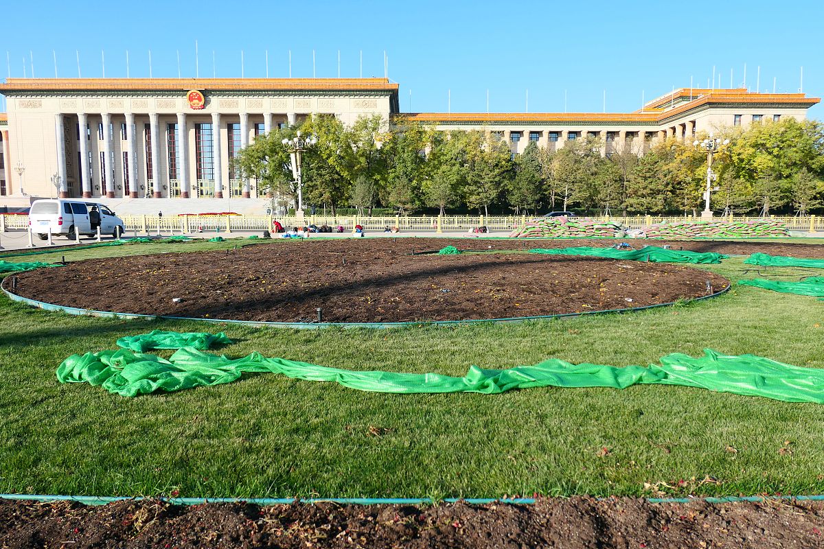 2020年11月10日,天安门广场东西两侧绿地首次铺设"彩妆"过冬.