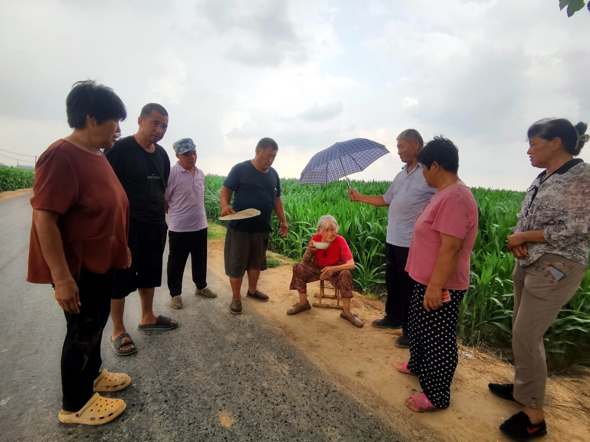 城乡结对帮扶成功案例 - 促进乡村振兴的有效模式