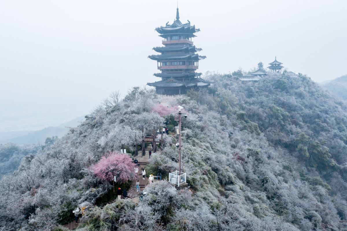 第一次踏足杭州,我就被这座城市的美丽深深吸引