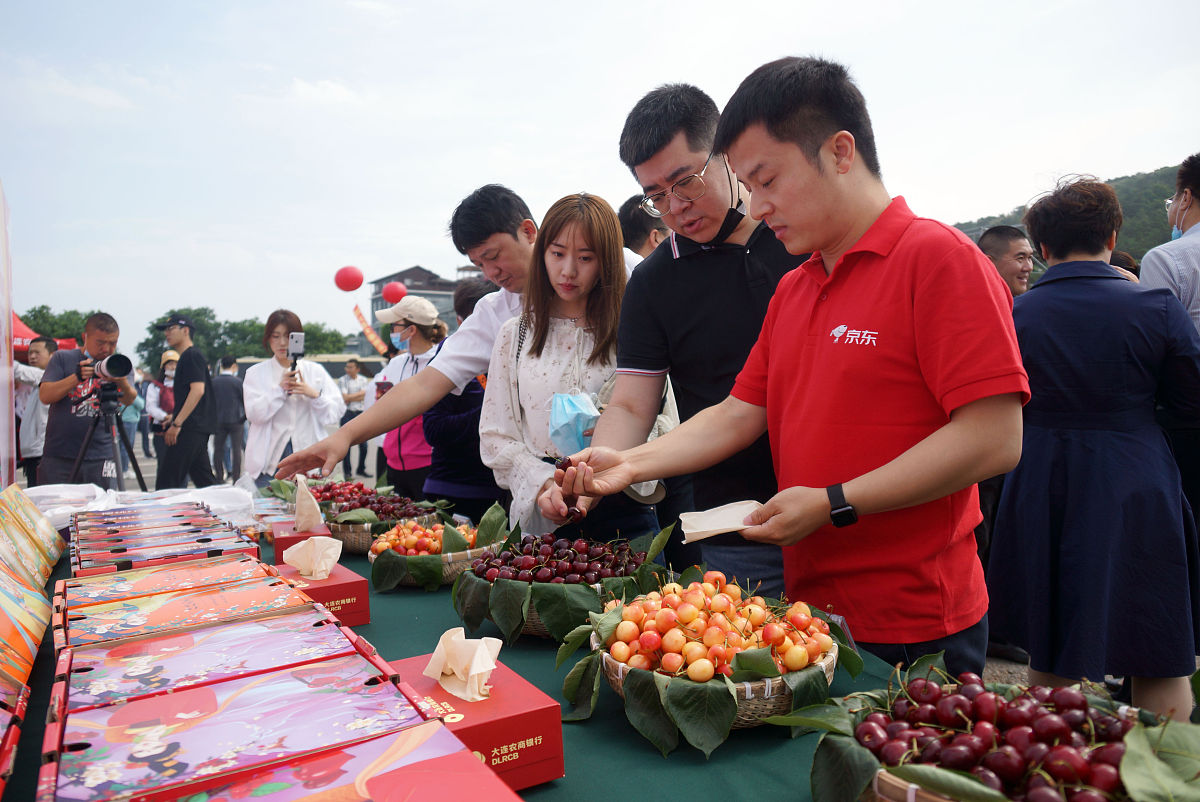 2021年6月12日,大连,大樱桃采摘直播季在大连金普新区启幕,活动通过直