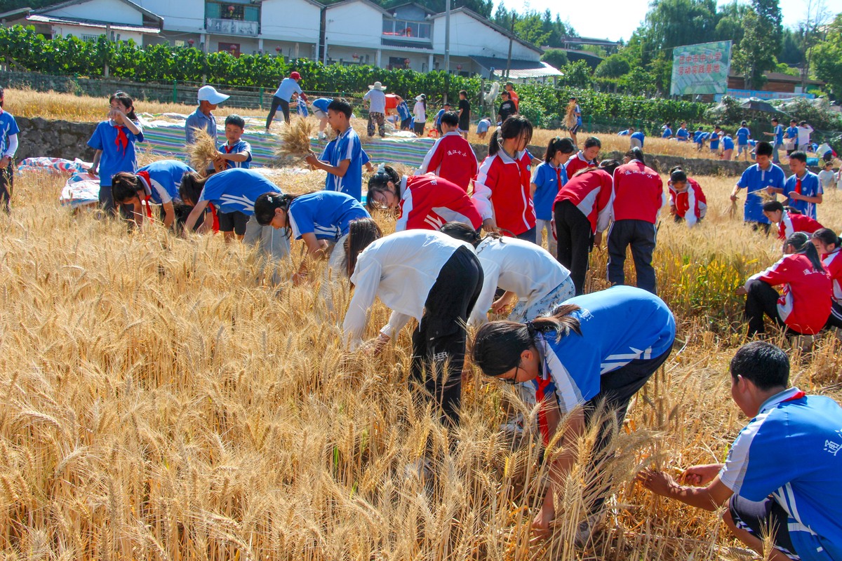 五一致敬农民文案
