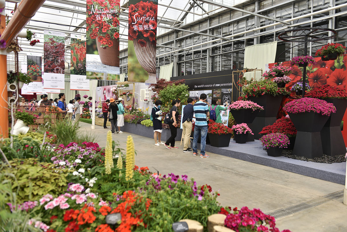 请整合下面这段话：我们需要制定全面的发展规划和政策支持加强鲜花产业的规划和管理提高鲜花产业的科技含量和品质。我们可以举办各种形式的鲜花文化节、花展和花艺大赛推进花旅融合吸引国内外游客前来参观和交流推广云南的鲜花文化。同时通过电视、广播、互联网等宣传渠道向国内外推广鲜花品牌和文化。推进鲜花产业的智能化和绿色化加强技术改进和创新提高生产效率和资源利用率减少对环境的影响。不断加强人才培养和引进培养一批鲜