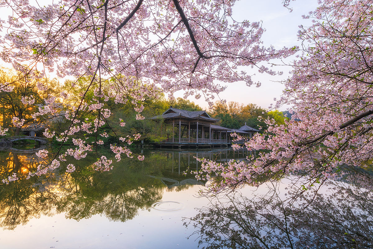 东湖美景：家乡的美丽明珠