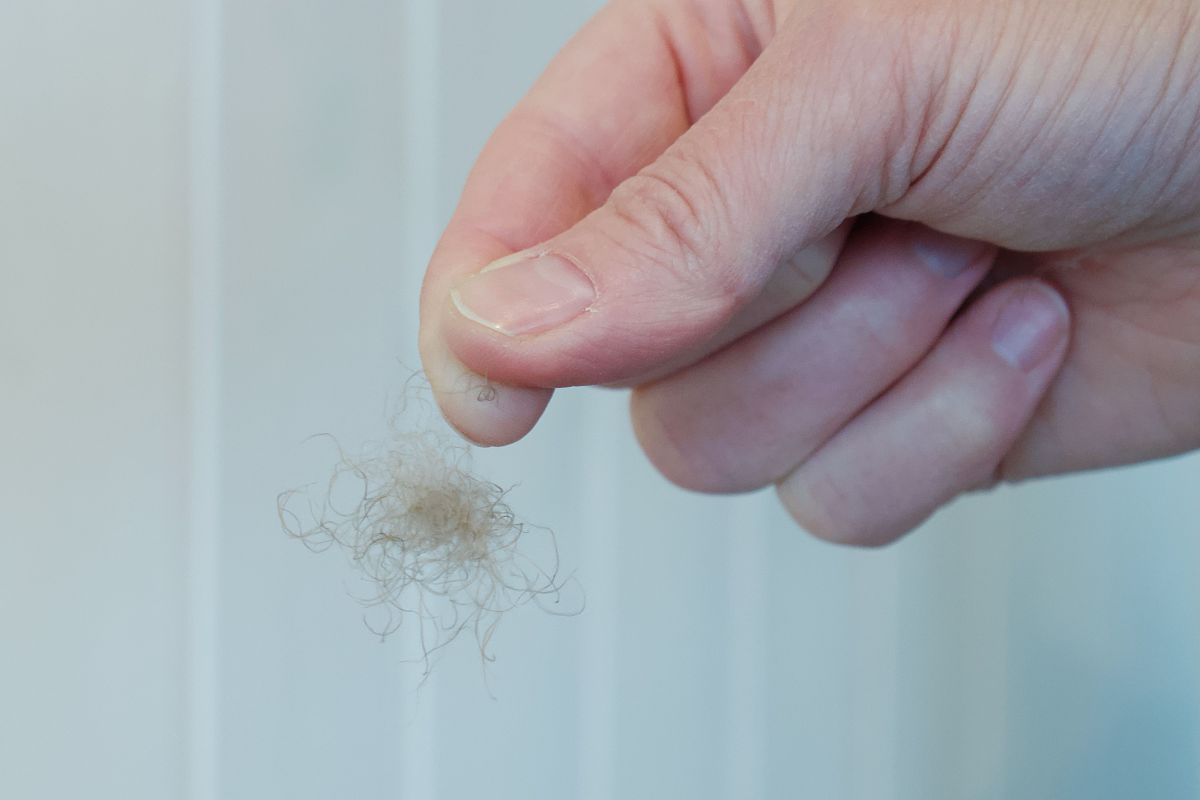 冷冻绿花菜净重指标 DTN-E 解释：100 kg/net eda = 100 公斤净重