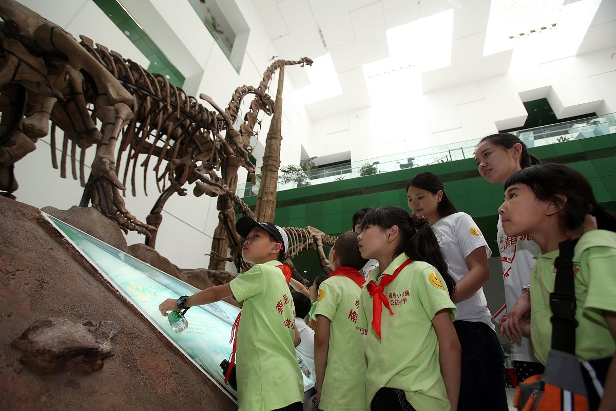 志愿汇队伍中文名称推荐100个