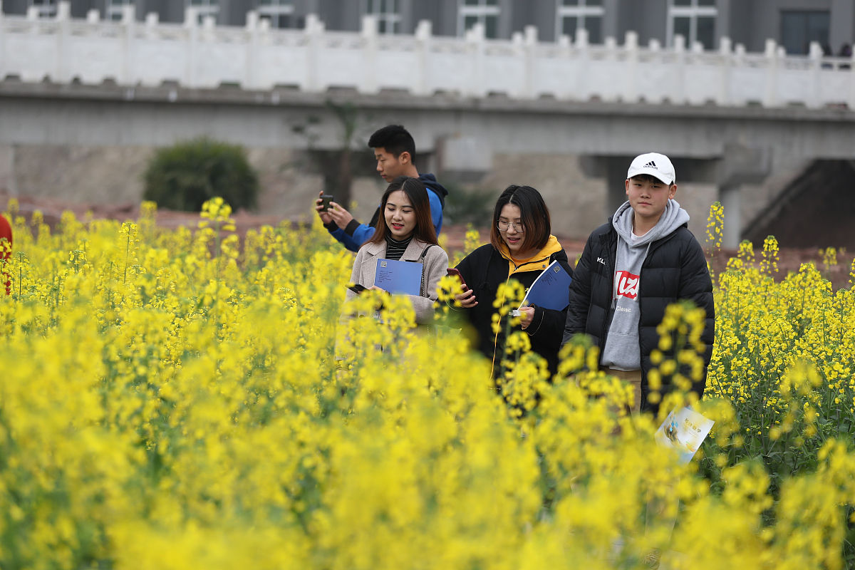 2023年重庆最好的卫校是哪所？重庆卫生职业学院为你解答