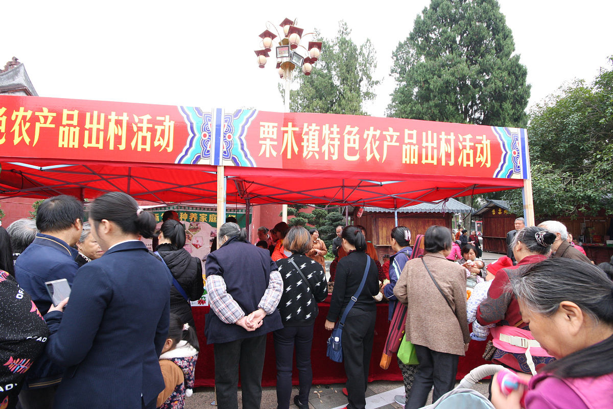 大学生三下乡的意义：助力乡村振兴的五大现实意义