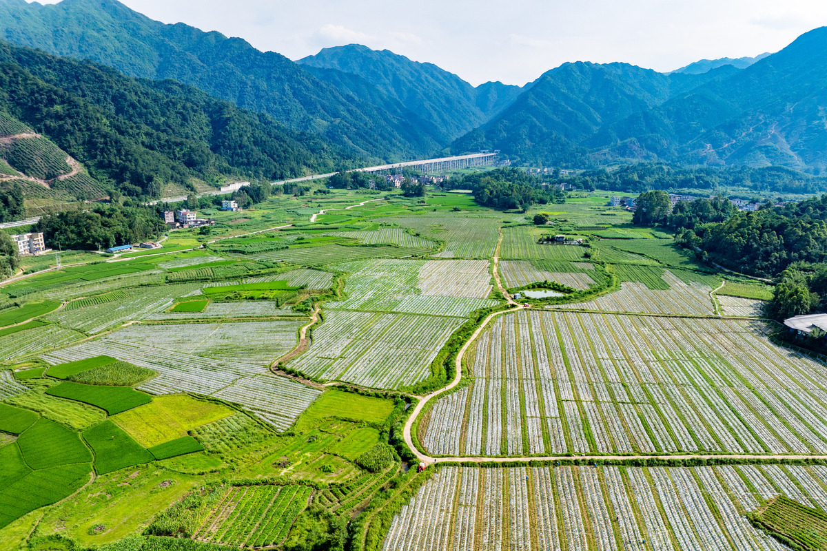 写一篇基层地区的定义。