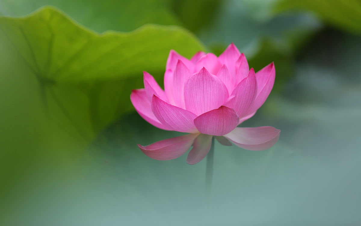 山东水利职业学院给排水工程技术专业好不好发展前景怎样