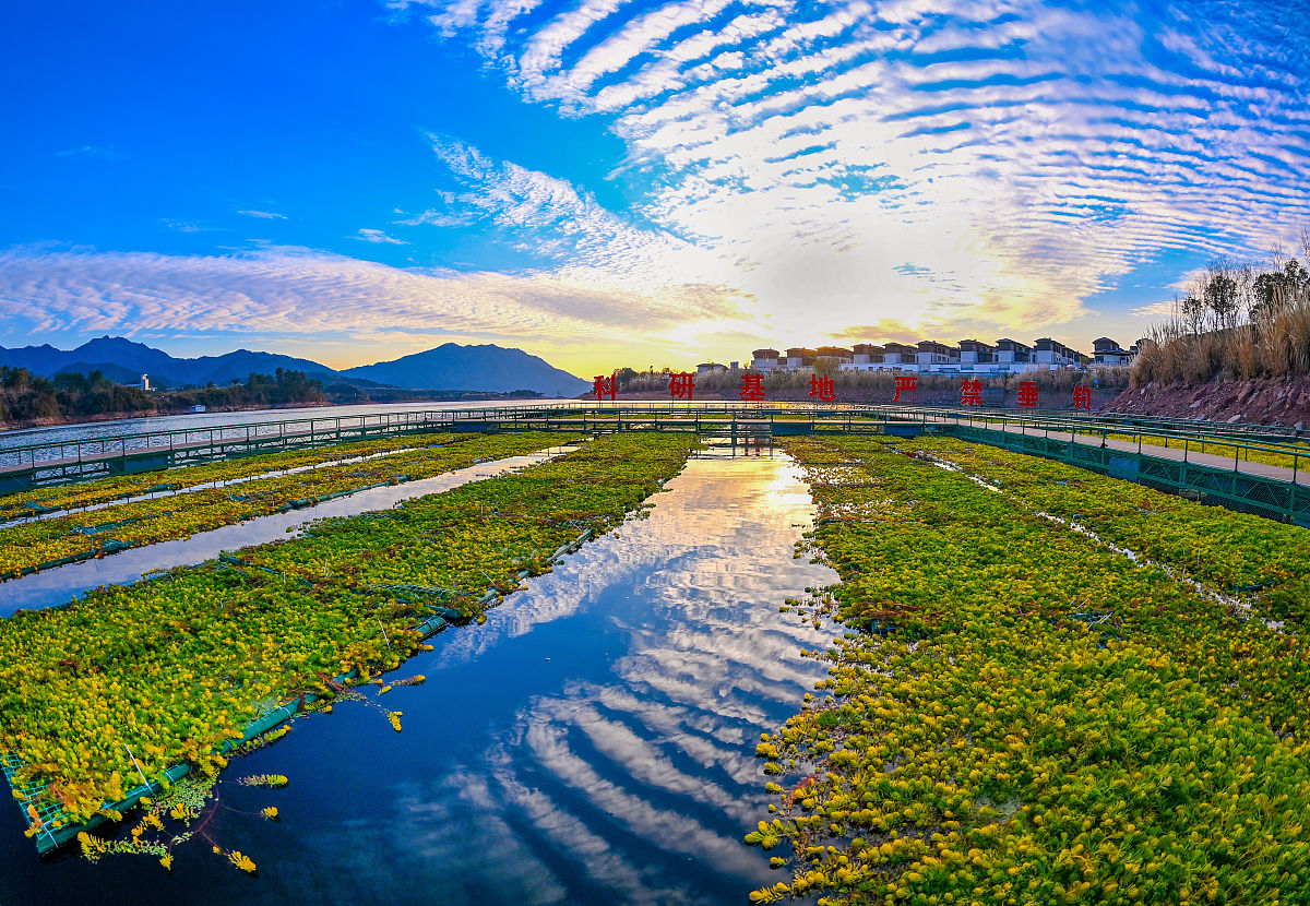 千岛湖中等职业学校2023年招生简章 - 培养技能型人才，开启精彩未来