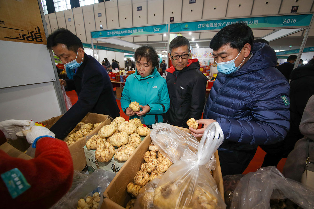 农委团委活动的设想与需求