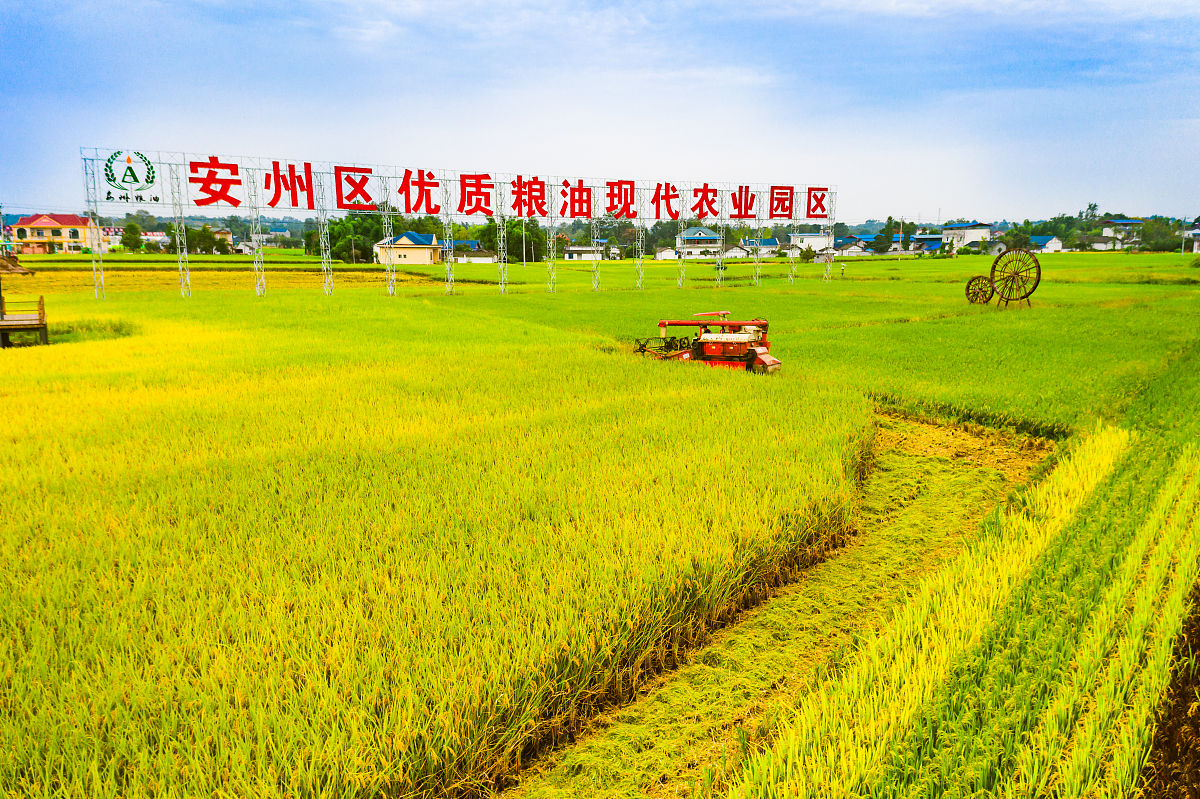 四川现代职业学院开设护理专业吗？