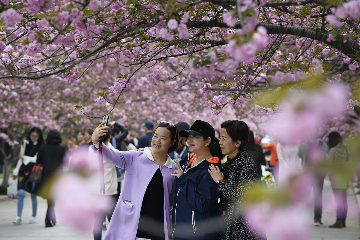 安徽科技学院机电技术教育专业怎么样？优势劣势分析