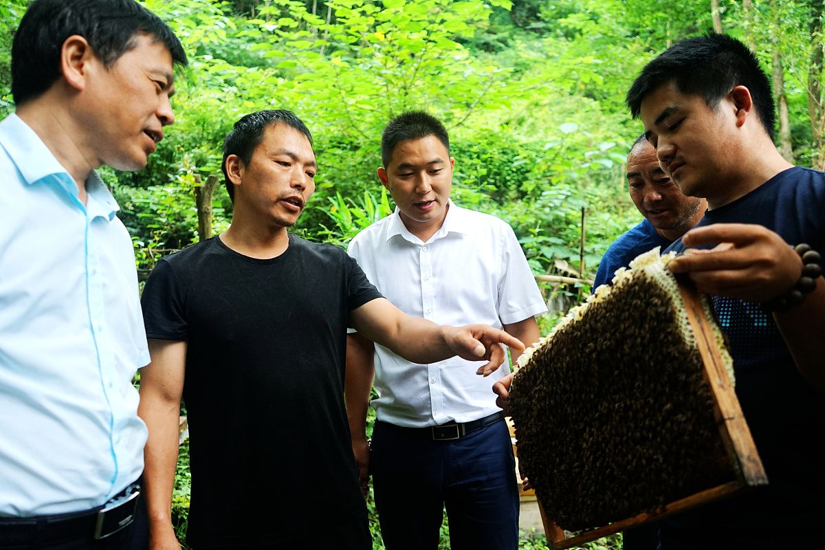 单集镇英山村党支部书记李冬汉：产业兴旺助力集体经济快速增长