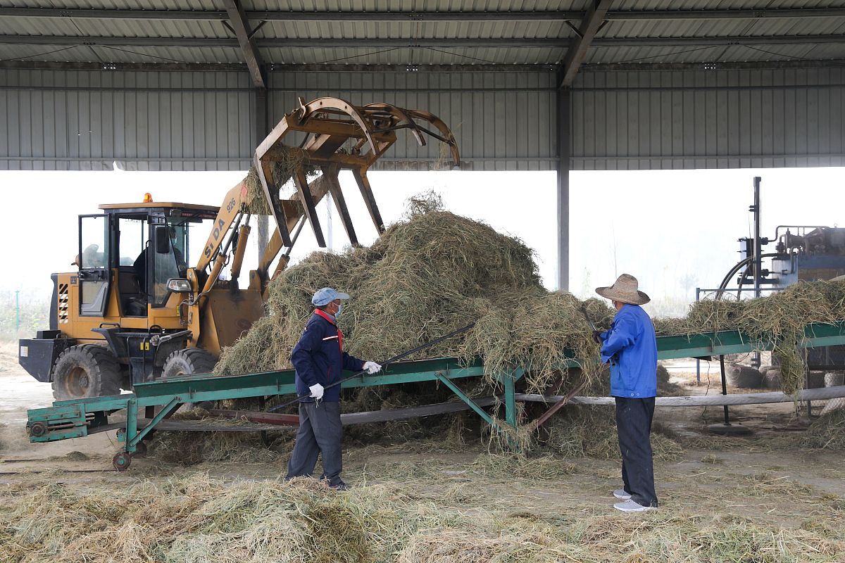 国内外牧草收获典型工艺有哪几种特点。