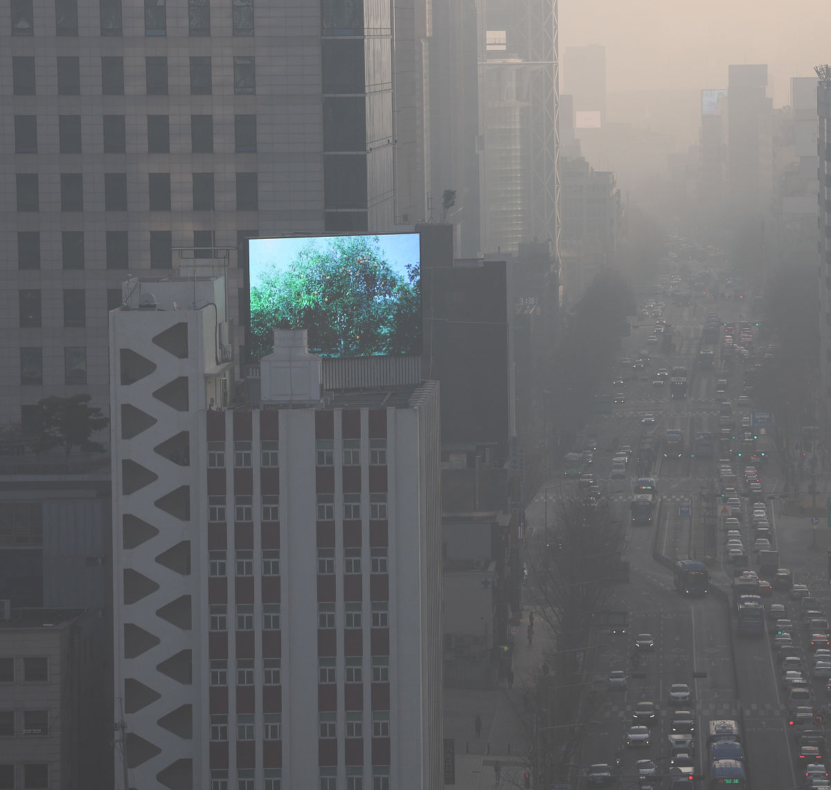 下雨对空气质量的影响：有害气体挥发会减少吗？