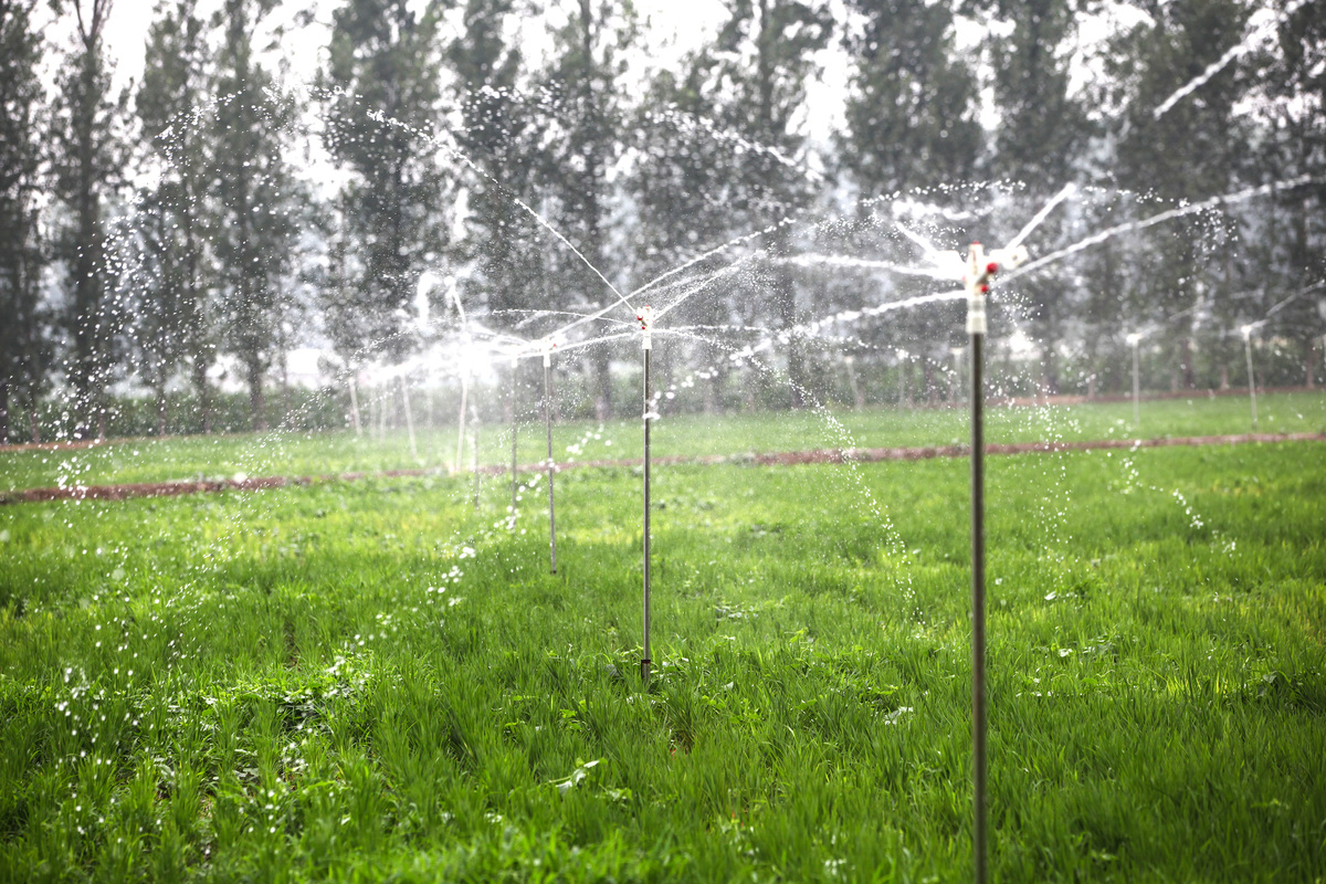 以农业物联网为载体的4G云智能大棚种植喷灌和土壤检测及自动卷帘融为一体的大棚控制器为题材生成一篇200字的推文