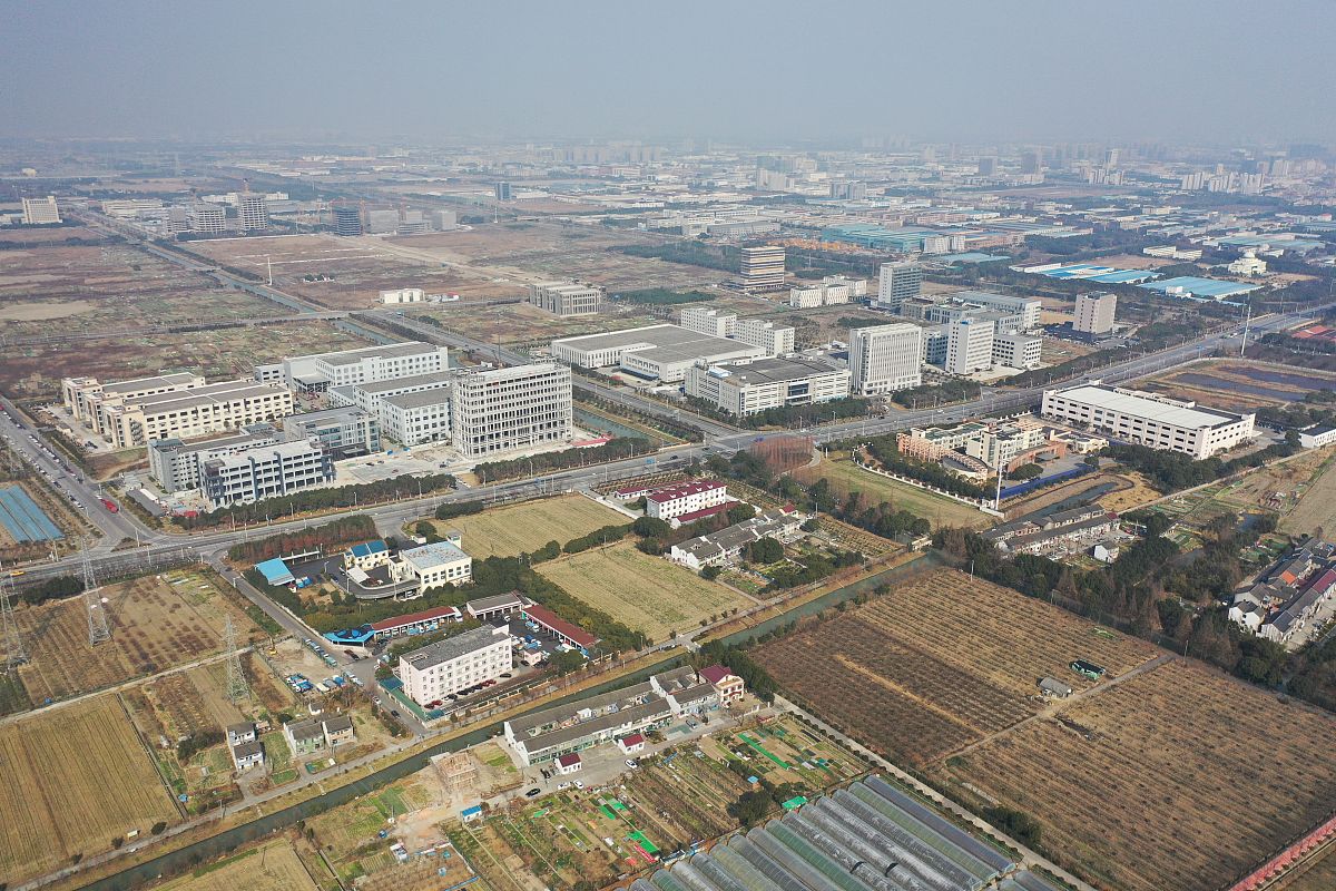 上海奉贤区辖有奉城镇、庄行镇、柘林镇、海湾镇的特色是什么