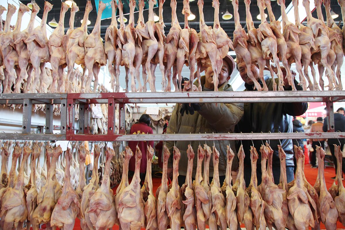 2023年白条鸭价格走势预测：影响因素及未来趋势