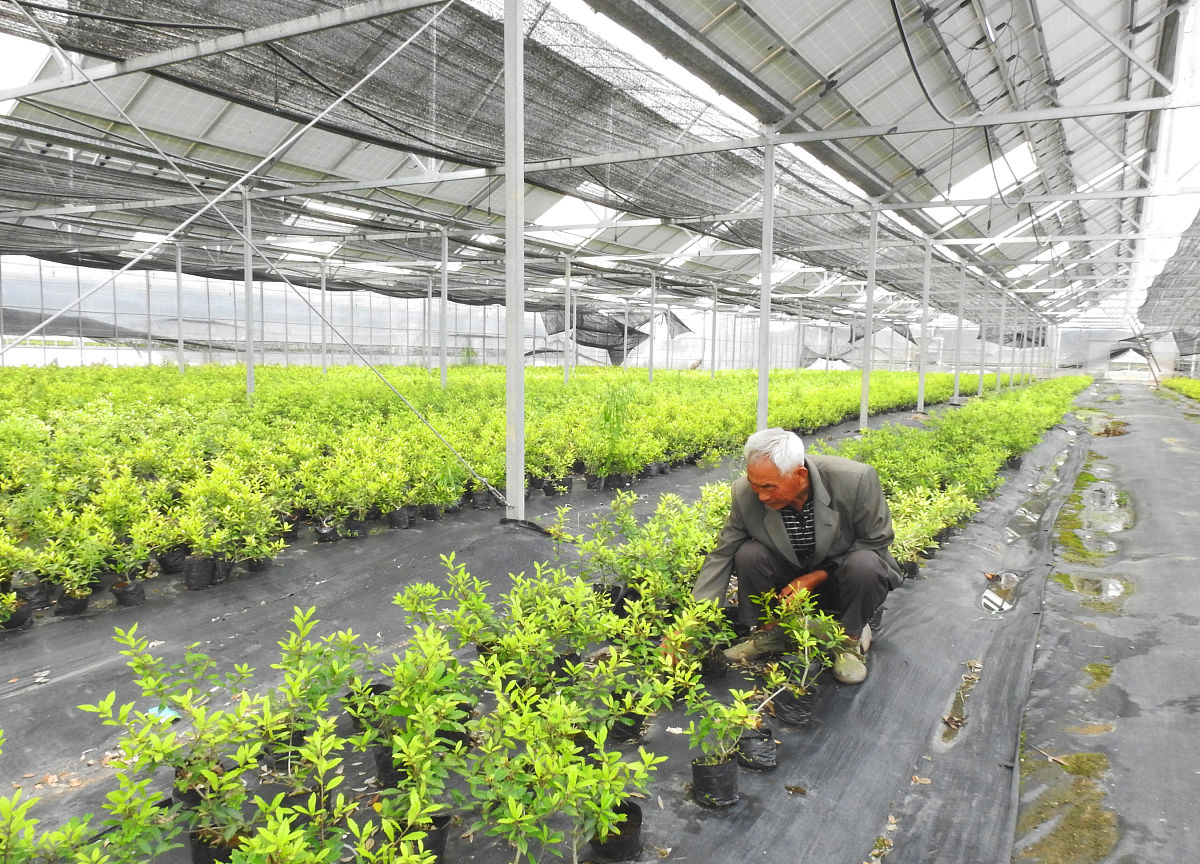 天水农业学校果蔬花卉生产技术专业怎么样