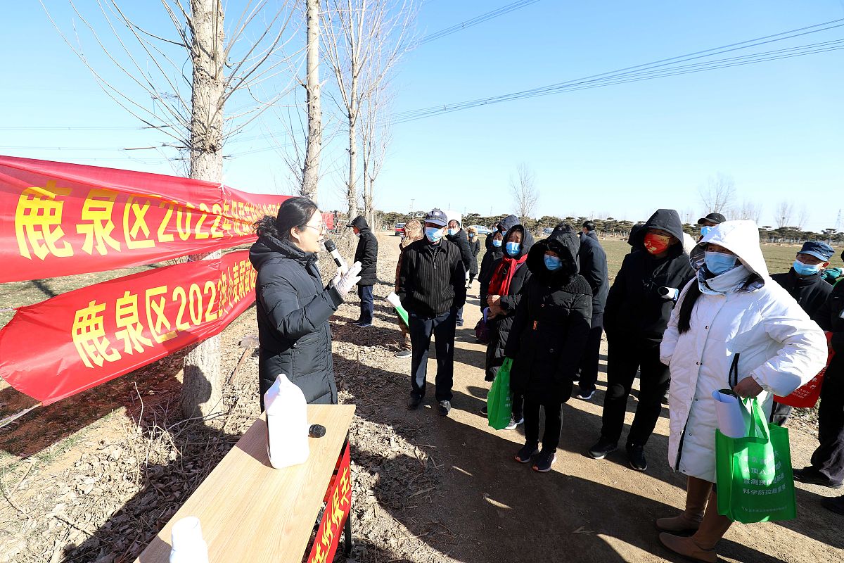 信用村镇建设措施：构建良好信用环境，助力村镇发展