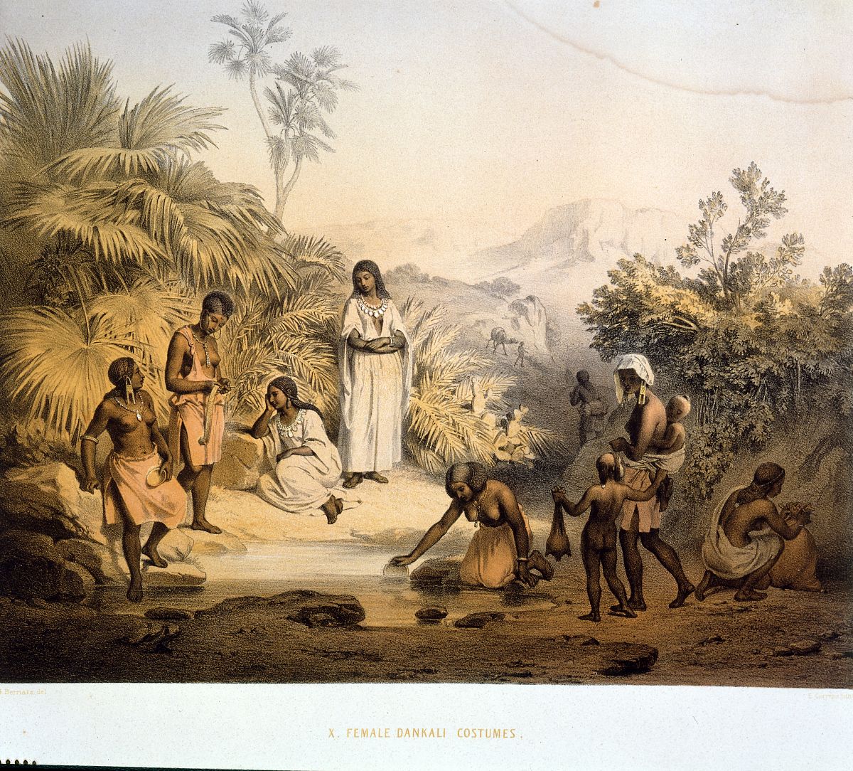 圣经中有记载中国人或后羿吗？