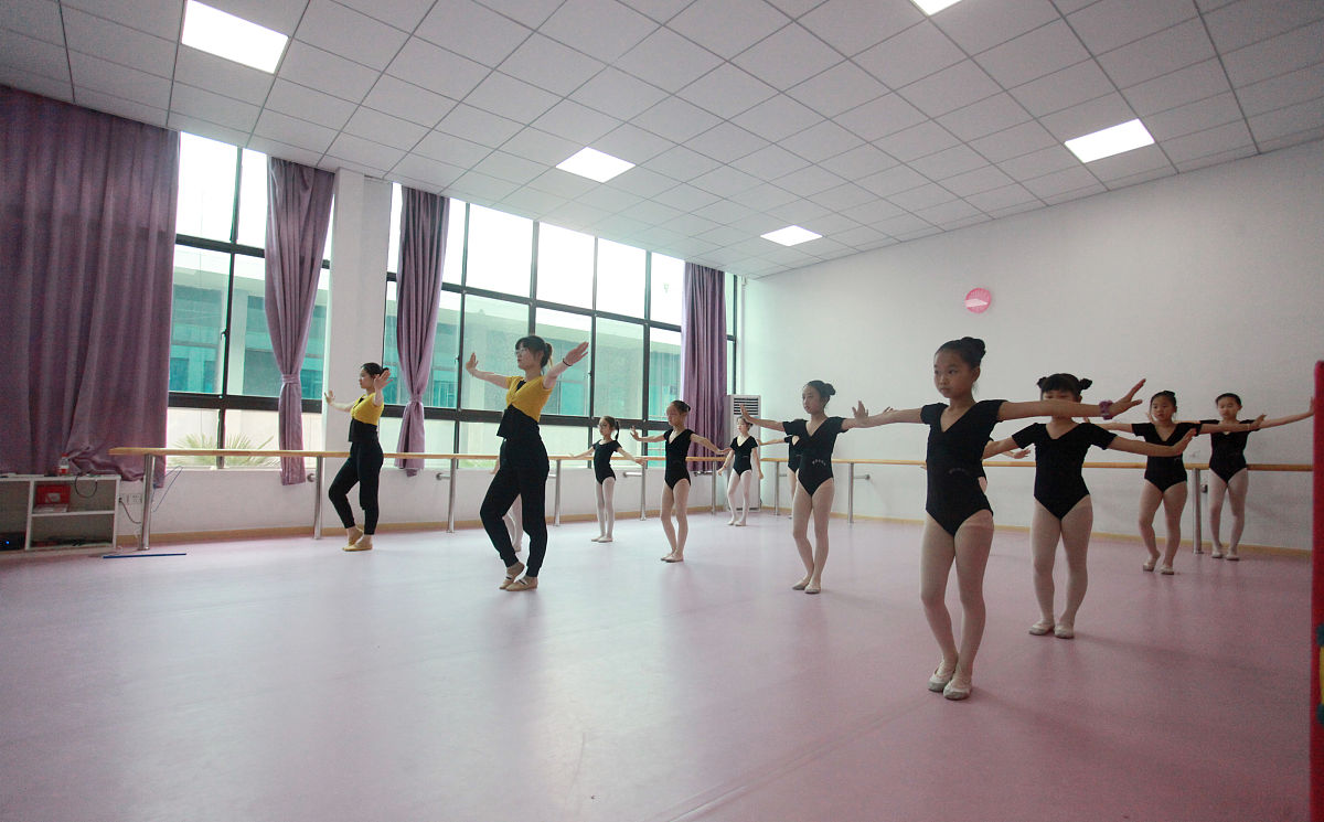 江西艺术职业学院中专部体育舞蹈好不好？有什么招生要求