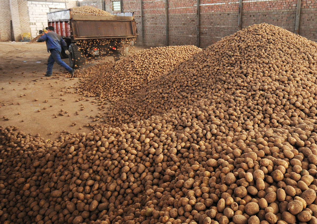 山西省农业机械化学校联系方式